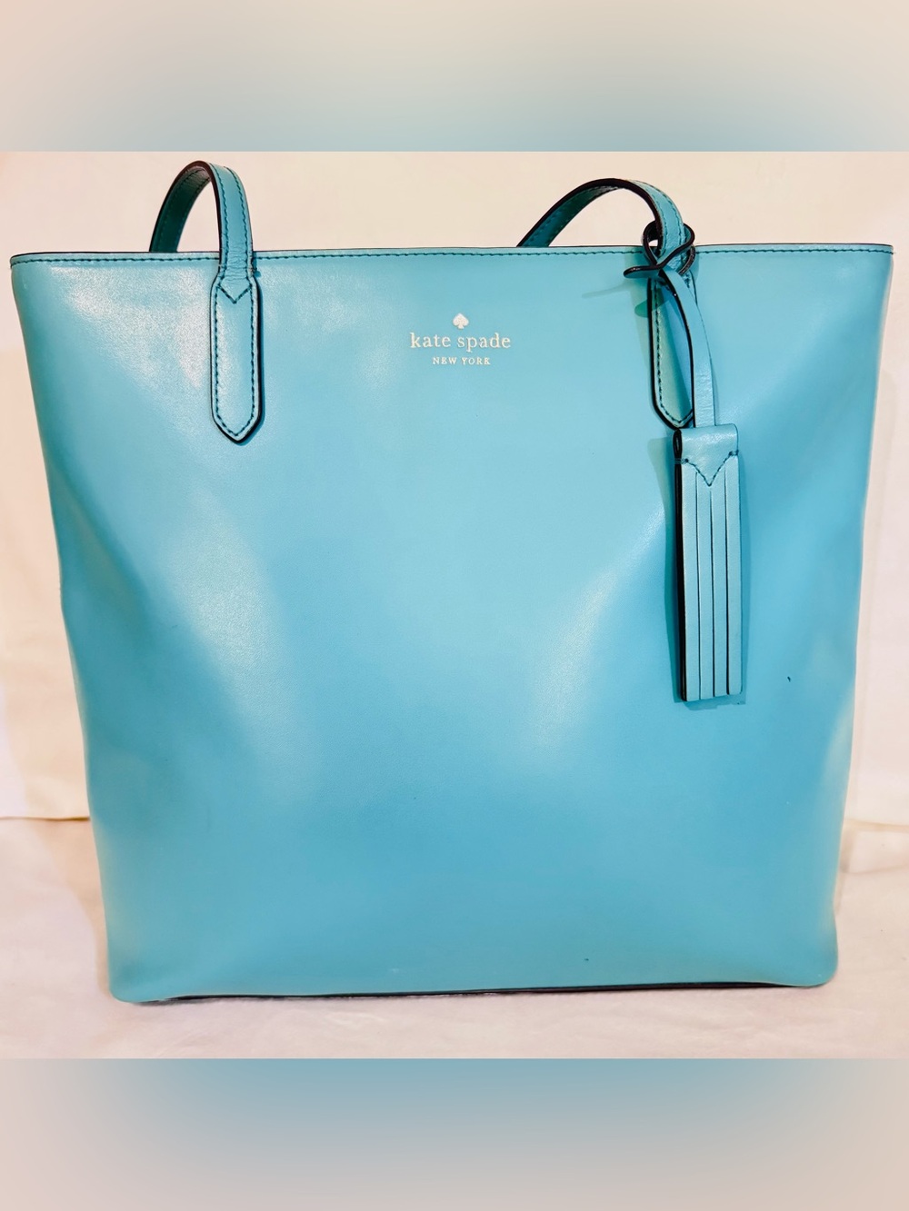 Kate Spade New York Jana Tote Tiffany Blue With Tassel Leather Minimalist K8150